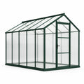Aluminium und Polycarbonat Gewächshaus 250x190x195cm Grün/Transparent